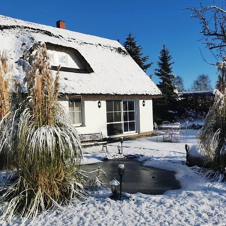 Reetferienhaus - Schaprode Hafen Eksteriør bilde